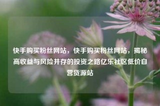 快手购买粉丝网站，快手购买粉丝网站，揭秘高收益与风险并存的投资之路亿乐社区低价自营货源站