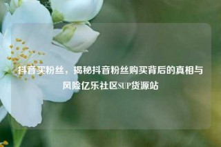 抖音买粉丝，揭秘抖音粉丝购买背后的真相与风险亿乐社区SUP货源站