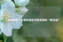 【光明时评】农家院落也可变成增收“聚宝盆”