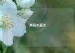 两碗水英文