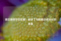 澳总理阿尔巴尼斯：做好了与欧盟达成协议的准备