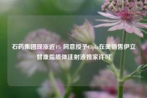 石药集团现涨近4% 同意授予Cipla在美销售伊立替康脂质体注射液独家许可