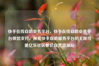 快手在线自助业务平台，快手在线自助业务平台微信支付，探索快手自助服务平台的无限可能亿乐社区低价自营货源站