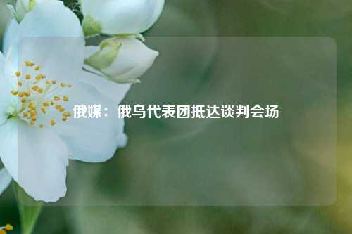 俄媒：俄乌代表团抵达谈判会场  第1张