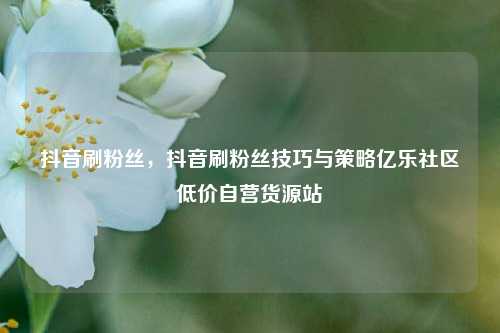 抖音刷粉丝，抖音刷粉丝技巧与策略亿乐社区低价自营货源站  第1张