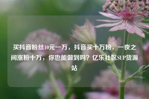 买抖音粉丝10元一万，抖音买十万粉，一夜之间涨粉十万	，你也能做到吗？亿乐社区SUP货源站  第1张