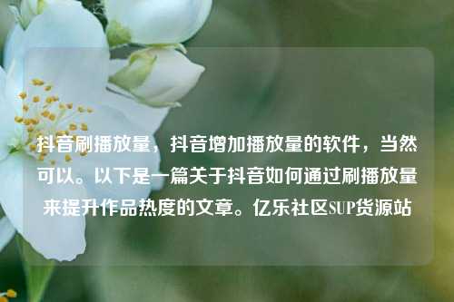 抖音刷播放量，抖音增加播放量的软件，当然可以。以下是一篇关于抖音如何通过刷播放量来提升作品热度的文章。亿乐社区SUP货源站  第1张