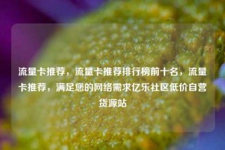 流量卡推荐，流量卡推荐排行榜前十名，流量卡推荐，满足您的网络需求亿乐社区低价自营货源站