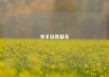 快手自助服务