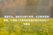 涨粉平台，涨粉平台那个好用，社交媒体营销策略，打造高人气账号的关键步骤亿乐社区SUP货源站
