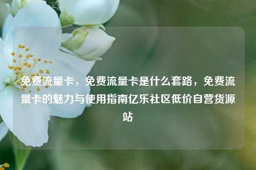 免费流量卡，免费流量卡是什么套路	，免费流量卡的魅力与使用指南亿乐社区低价自营货源站  第1张