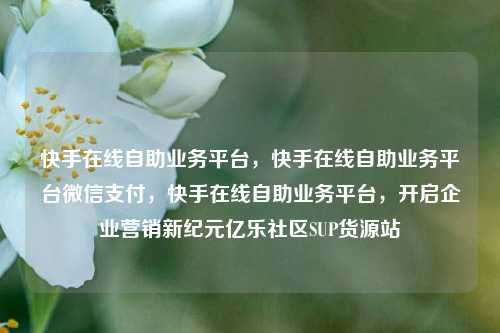 快手在线自助业务平台	，快手在线自助业务平台微信支付，快手在线自助业务平台，开启企业营销新纪元亿乐社区SUP货源站  第1张