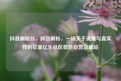 抖音刷粉丝，抖音刷粉，一场关于流量与真实性的较量亿乐社区低价自营货源站  第1张